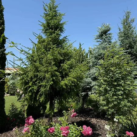 Bed and breakfast Atmosfera Bydgoszcz