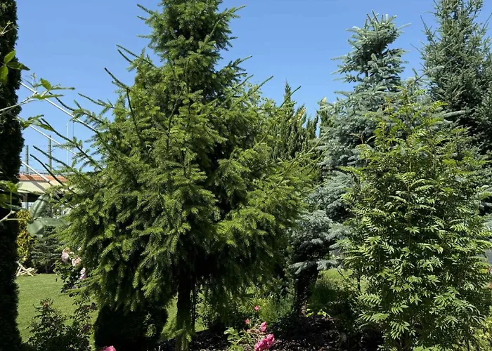 Nocleg ze śniadaniem Atmosfera Bydgoszcz